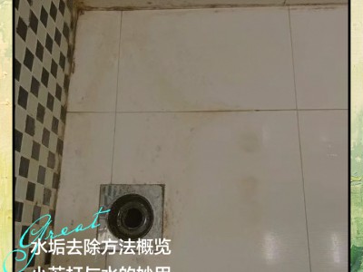 卫生间防潮防霉技巧，告别潮湿异味和黑斑