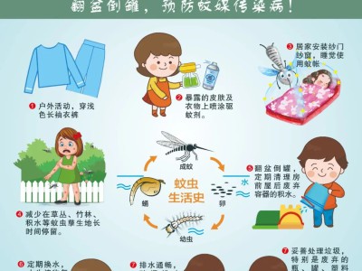 居家防蚊科普：科学防蚊方法，远离蚊虫叮咬困扰