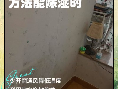 一楼住房防潮小技巧，拒绝地面返潮，保持居家干爽